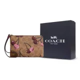 Сумка + Пылезащитный мешок + Черная коробка