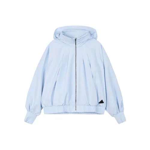 Adidas Куртки и Пальто Женские Синие