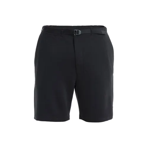 Icebreaker x THE NORTH FACE Urban Exploration Повседневные шорты Унисекс