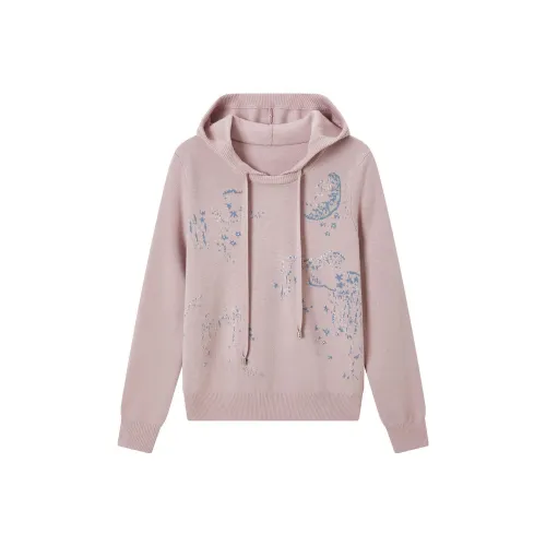 FINITY FW23 Толстовка Женская Розовая