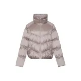 Чайка Фиолетово-серый