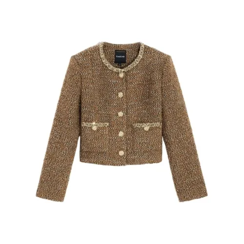 BEBE FW24 Куртки и Пальто Женские Кофейного цвета