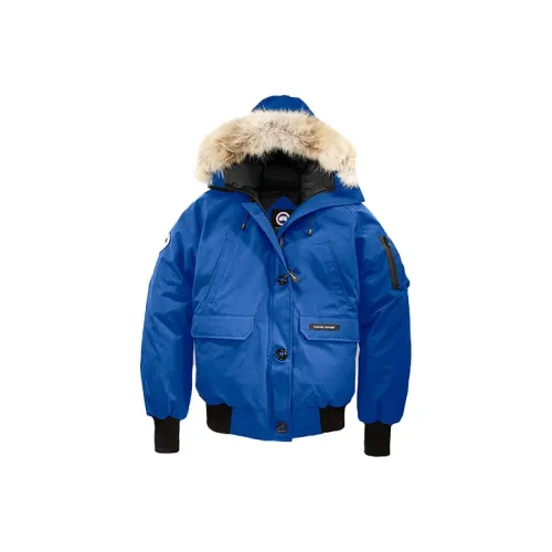 Canada Goose Пуховик Зимний Женский Синий