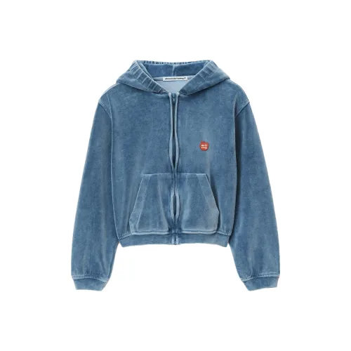 Alexander Wang FW23 Толстовка Женская Синяя