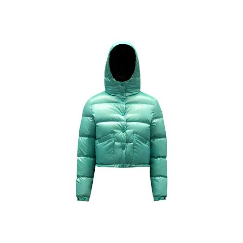 Moncler Bardanette Series FW22 Пуховик Зимний Женский Jadeite Зеленый
