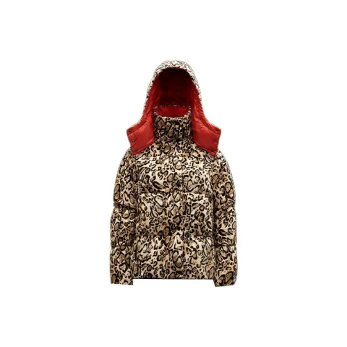 Moncler Down Jacket Women's Brown