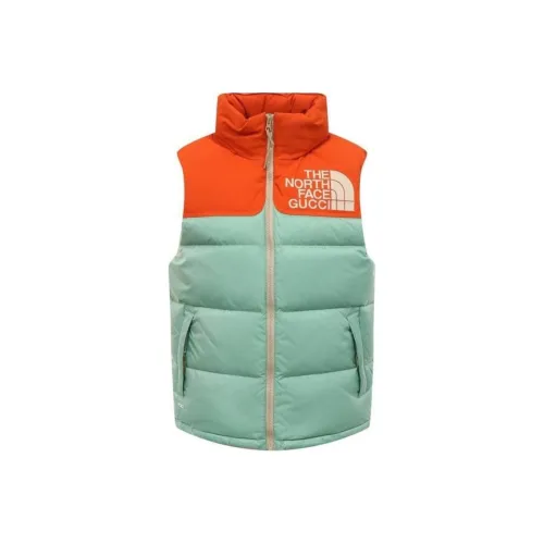 GUCCI x THE NORTH FACE Пуховик Женские Многоцветный