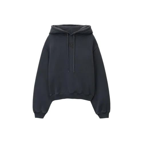 Alexander Wang SS24 Свитшот Женский Темно-Серый