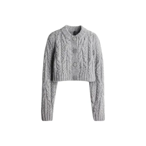 H&M Смешанный светло-серый женский трикотаж
