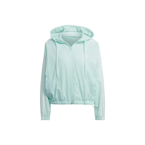 Adidas Essentials Куртка Женская Зеленая