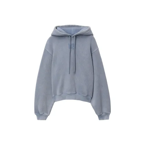 Alexander Wang SS24 Свитшот Женский Светло-Синий