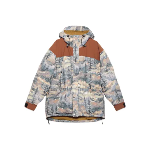GUCCI x THE NORTH FACE FW22 Куртки и пальто Женские Многоцветные