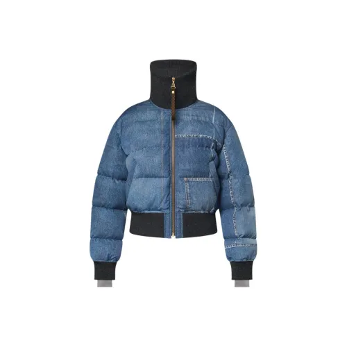 LOUIS VUITTON SKI Skiing Series FW24 Куртки и пальто Женские Синий