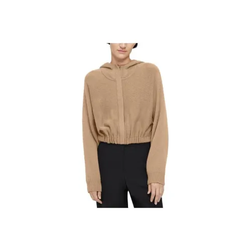 THEORY FW23 Трикотаж Женский CAMEL
