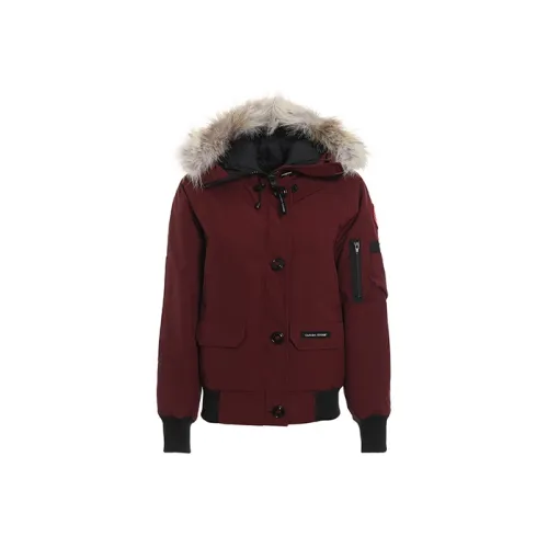 Canada Goose Chilliwack Series Пуховик PARKA Пальто Зимний Женский Ягодно-красный