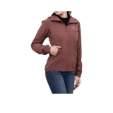 Инерция Коричневый