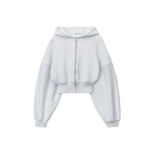 Alexander Wang SS24 Свитшот Женский Светло-Серый