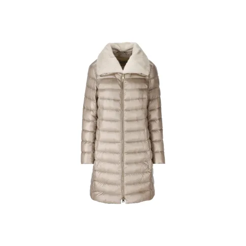 HERNO Розовые Женские Куртки