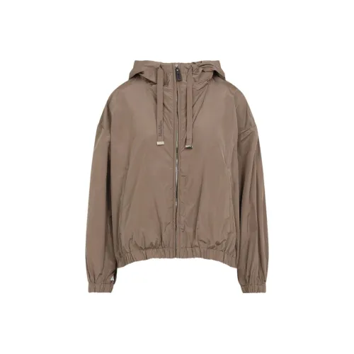 MaxMara SS25 Куртки и Пальто Женские Верблюжий Коричневый