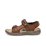 Темно-коричневый