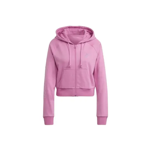 Adidas Originals Куртки и Пальто Женские Светло-фиолетовые