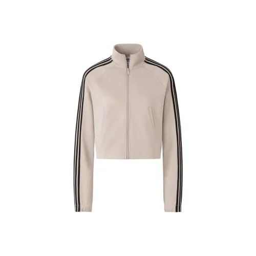 adidas originals Коричневые Женские Куртки