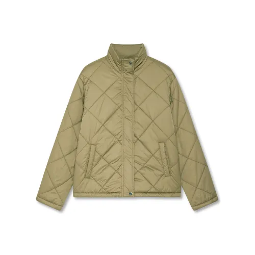 DKNY FW24 Куртка Женская Серый Зеленый