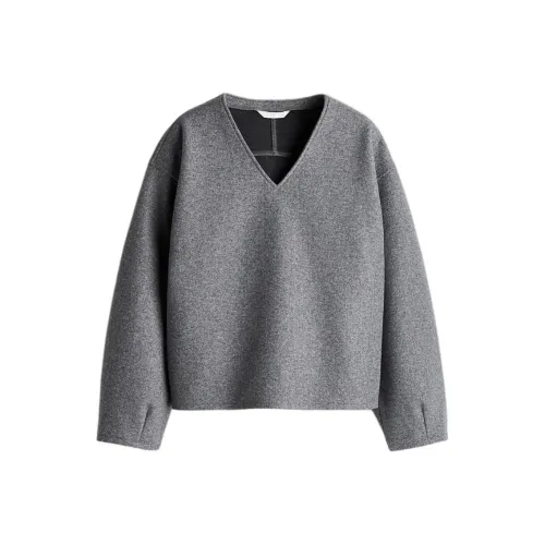 H&M Смешанный серый Женские свитшоты