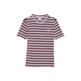 Дикий розовый в полоску / Дикий розовый полосы