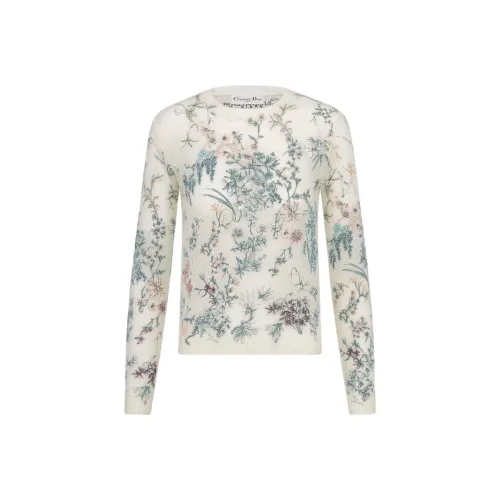 DIOR FW25 Свитер Женский Многоцветный