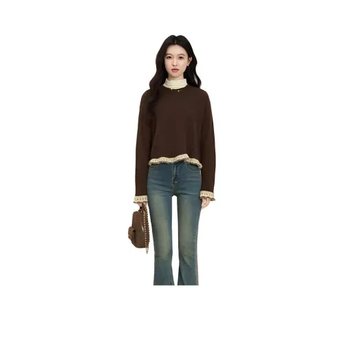 ALXNAN Коричневый Женский Трикотаж