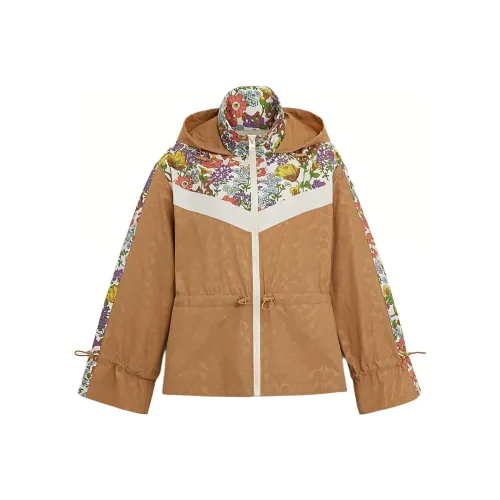 COACH SS24 Куртки Пальто Женские Смешанные Коричневый Желтый