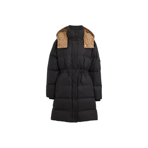 COACH FW23 Пуховик Женский Черный