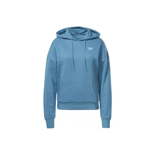 Reebok RI SL FRENCH TERRY Hoodie Толстовка Женская Синяя