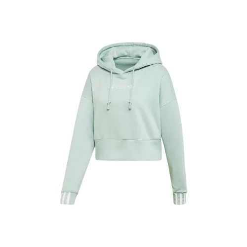 Adidas Originals Coeeze Crop Свитшот Женский Зеленый