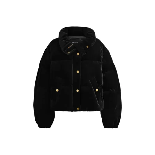 COACH FW24 Пуховик Женский Черный