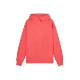 Арбузно-розовый красный