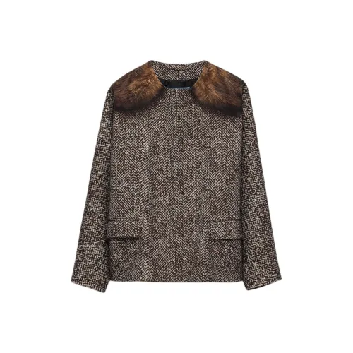 PRADA SS25 Весенне-летняя женская коллекция одежды Куртки и пальто Женские Коричневый