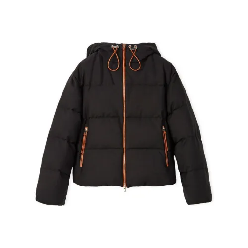 LOEWE Черные Женские Пуховики