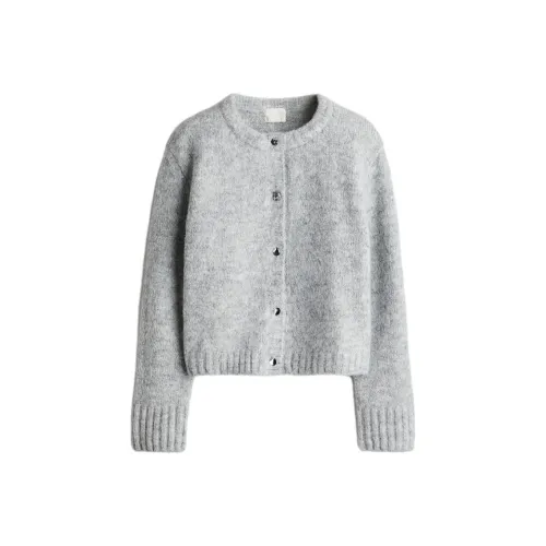 H&M Смешанный светло-серый женский трикотаж
