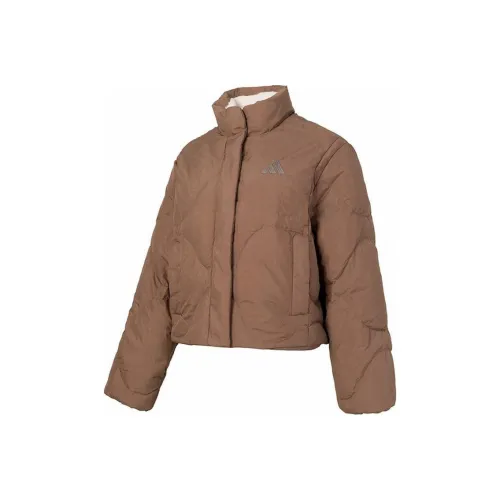 Adidas FW24 Down Jacket Women's Brown