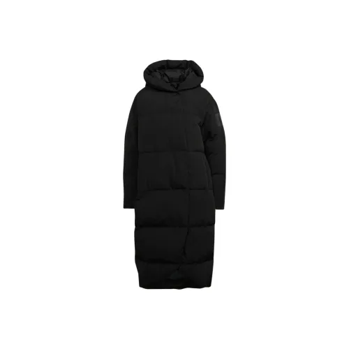 Adidas Черные Женские Пуховики