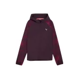 Полуночная слива