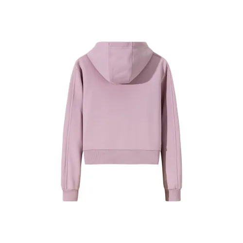 ANTA Life Collection Толстовка Женская Boulevard Розовая