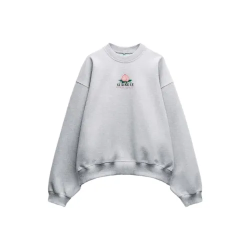 ZARA XI XING LE Co Branded Модель Зебровый принт Серый Женские Свитшоты