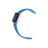 Силикон, Прусский Синий