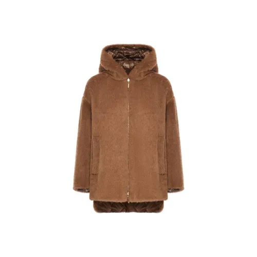 MaxMara Коричневые Женские Куртки