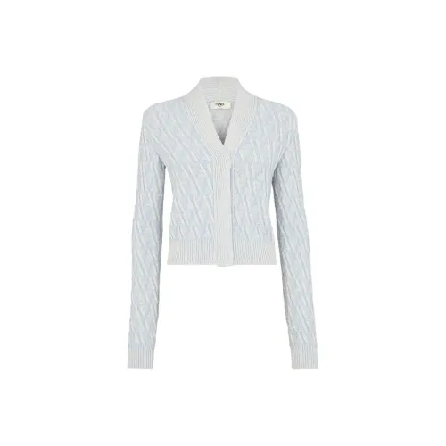 FENDI FW24 Трикотаж Женский Синий