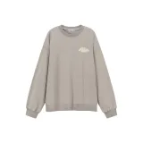 Слоновой серый