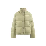 Оливковый зеленый